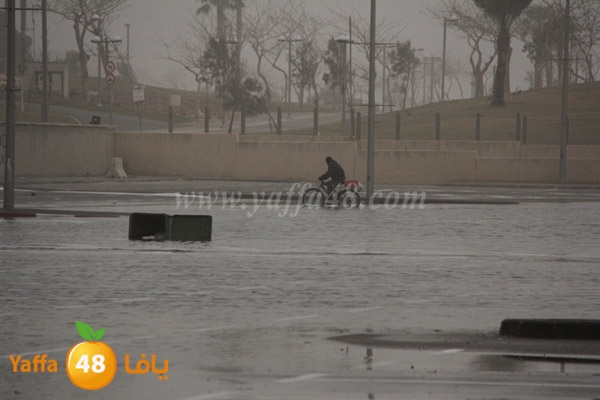 mina2 adrar jfe (6).jpg